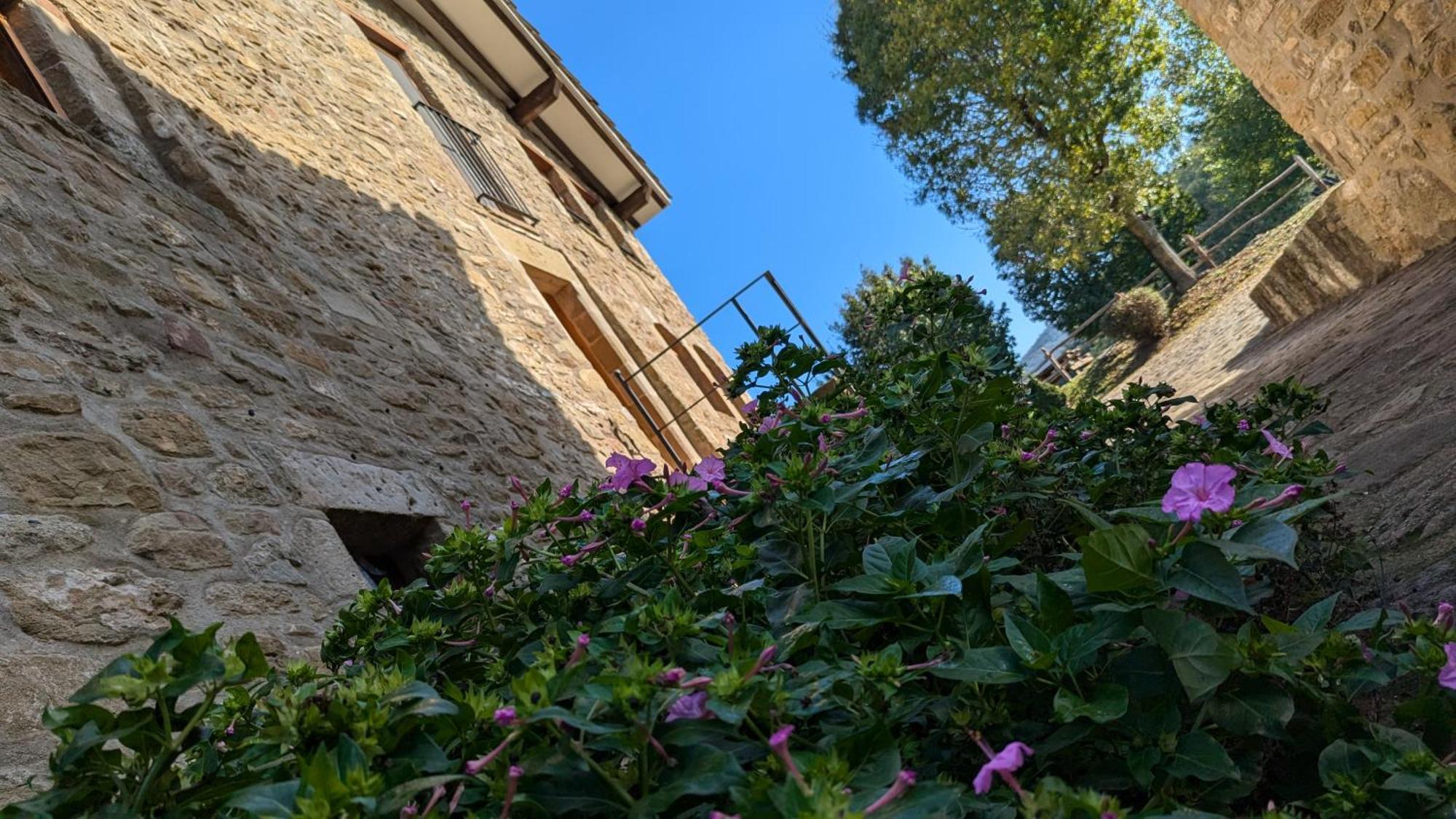 Mas El Carrer Apartment Santa Pau Exterior photo